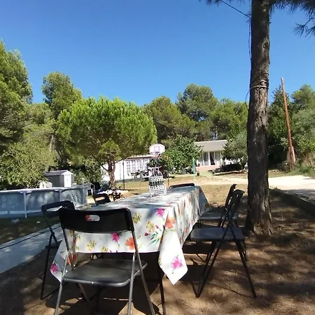 Tiny House Teresa *